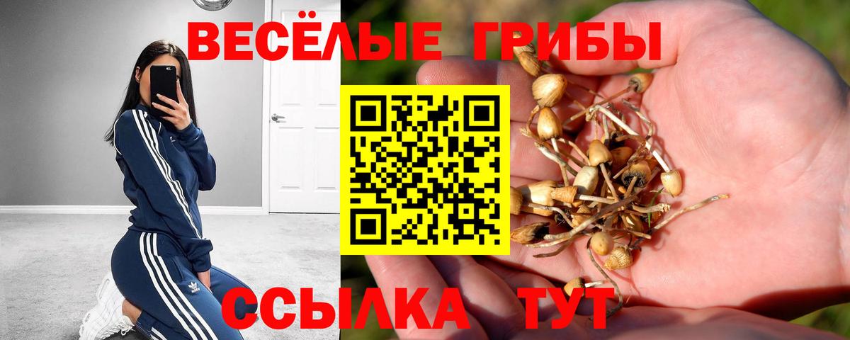 Галлюциногенные грибы мицелий Щёкино